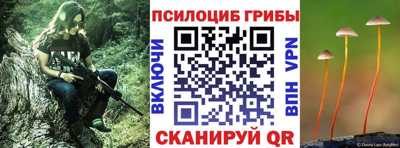где купить   Салехард  Галлюциногенные грибы GOLDEN TEACHER 